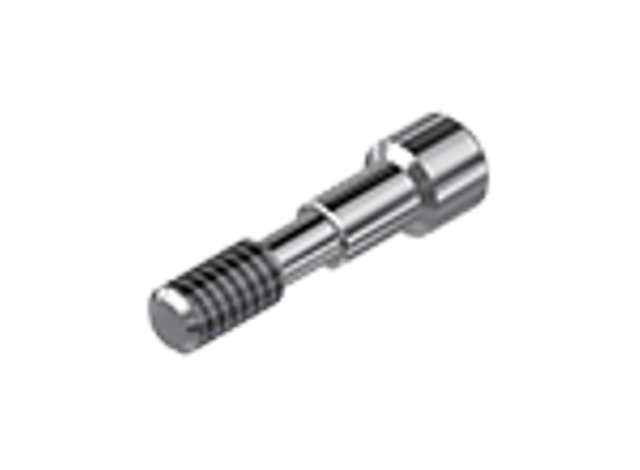 Schroef Camlog Conelog 3.3/3.8/4.3 Compatible