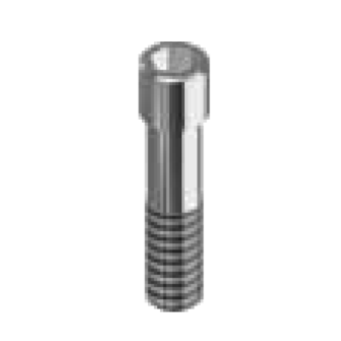 Schroef Frialit Xive 3.4/3.8/4.5/5.5 Compatible