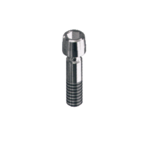 Schroef MegaGen AnyOne 4.0 Compatible