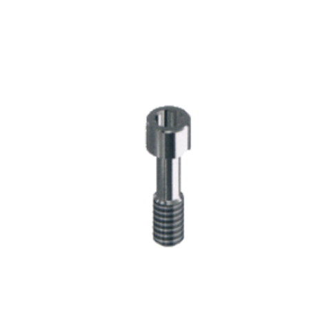 Schroef MegaGen AnyRidge Compatible