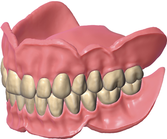 Exocad Full Denture Module Stand Alone