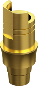 Ti-Base MegaGen AnyRidge Non Engaging (SIS) 