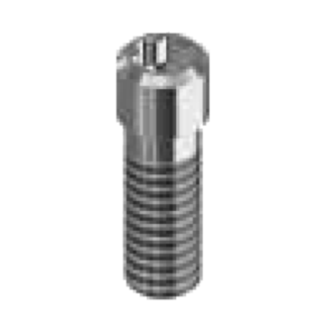 [ST-SO-NN-SCH] Schroef Straumann SynOcta NN Compatible