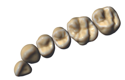 [SW-CC-ZRS] ChairsideCAD ZRS Tooth Library